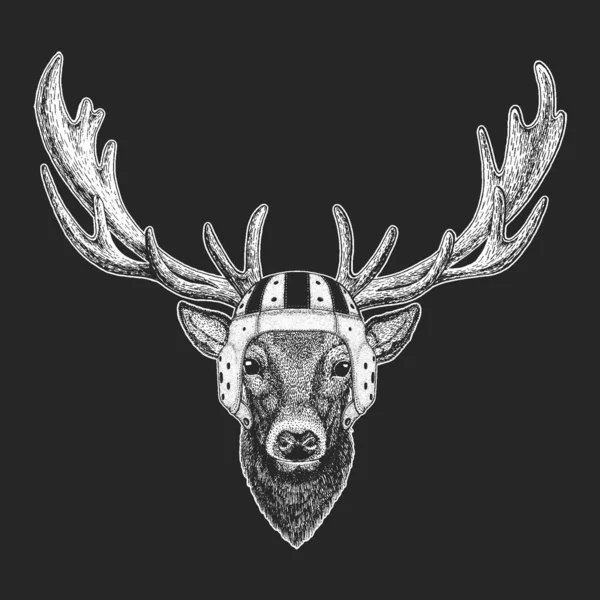 鹿の肖像画。ラグビーレザーヘルメット。野生動物の頭. — ストックベクタ