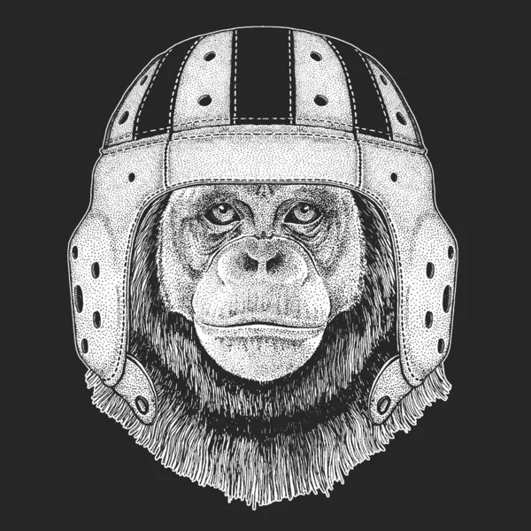 Chimpanzé, retrato. Capacete de couro rugby. Cara de macaco. Cabeça de macaco . —  Vetores de Stock