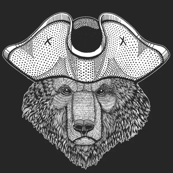 Urso selvagem. Chapéu de pirata. Retrato de animal para emblema, logotipo, camiseta . — Vetor de Stock