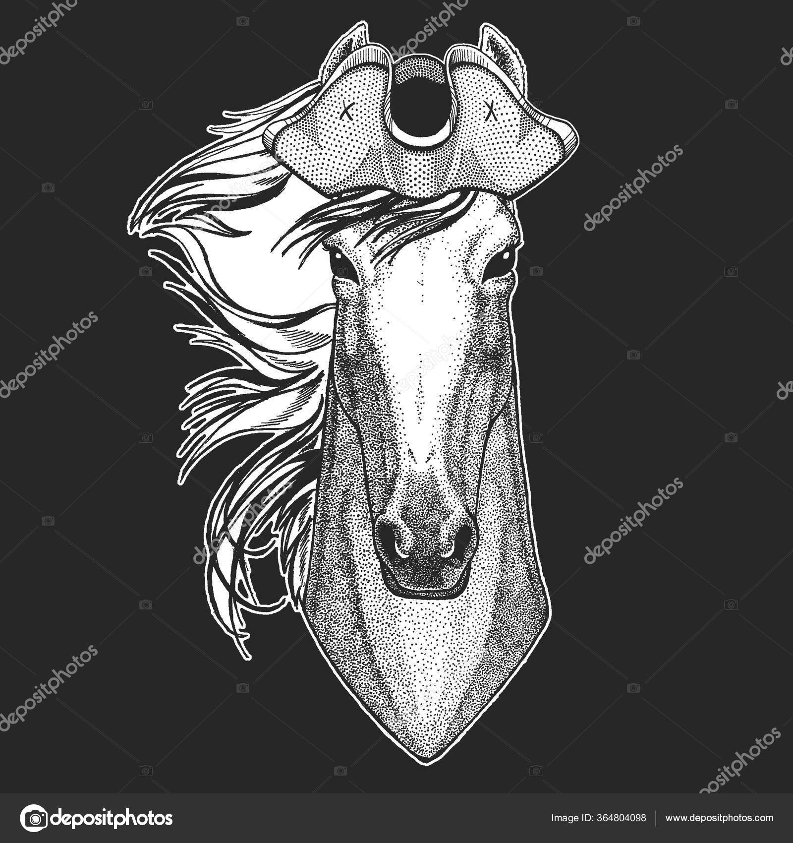 포유류 손가락 만화 화이트, 해적 모자, 각도, 화이트, 포유 동물 png | PNGWing, image size:1600x1700