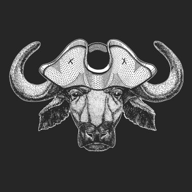 Bufalo, bizon, boğa, inek portresi. Korsan şapkalı. Hayvanın yüzü.
