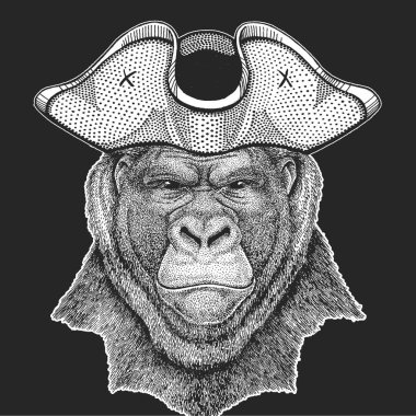 Goril, maymun, maymun. Korsan şapkalı.