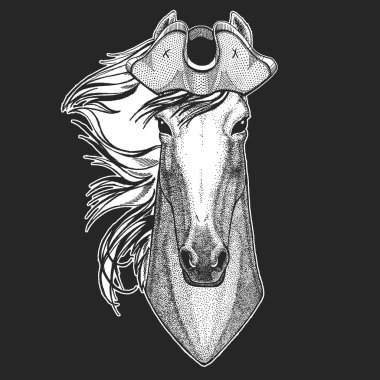 At, at, at. Korsan şapkalı. Vahşi hayvan portresi.