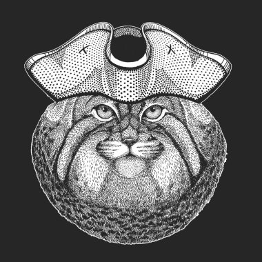 Pallas kedi kafası. Korsan şapkalı. Manul kafa. Vahşi kedi portresi.