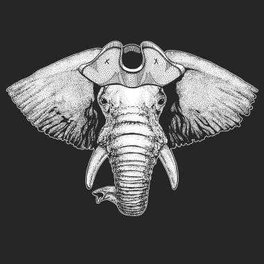 Fil kafalı. Korsan şapkalı. Denizci. Vahşi hayvan portresi.