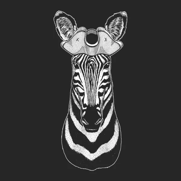 Zebra portresi. Korsan şapkalı. Denizci. Vahşi hayvanların başı..