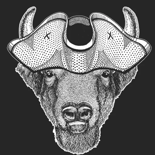 Buffalo, bison, tête de taureau. Chapeau de pirate. Matelot. Portrait d'animaux . — Image vectorielle