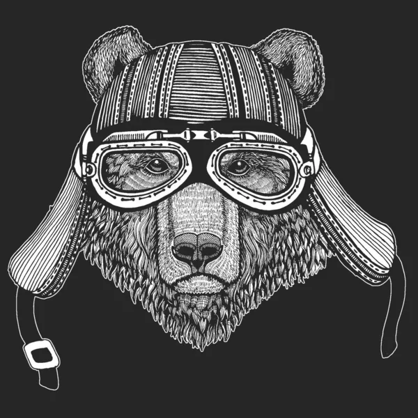 Urso selvagem. Capacete de motocicleta de couro vintage. Retrato de animal para emblema, logotipo, camiseta . — Vetor de Stock