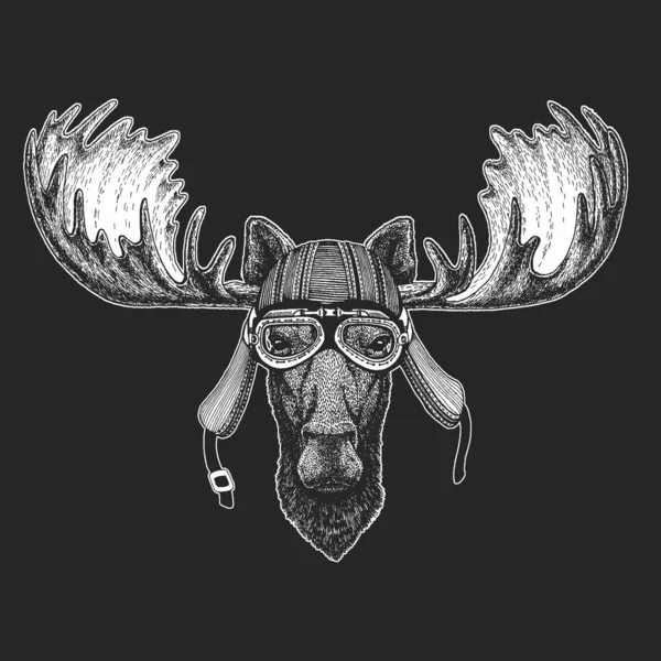 Moose head. Portrét legračního zvířete. — Stockový vektor