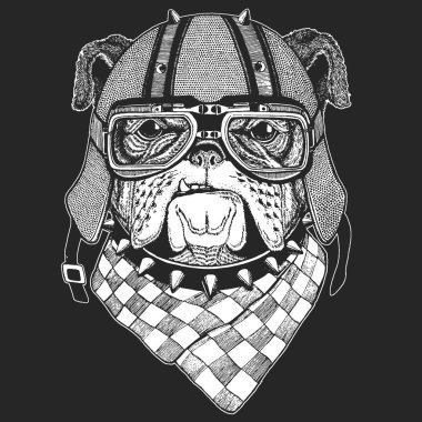 Bulldog, köpek. Klasik motosiklet deri kaskı. Sevimli hayvan portresi.