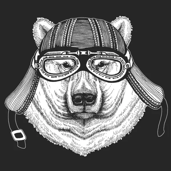 Portrét ledního medvěda. Hlava divokého zvířete — Stockový vektor