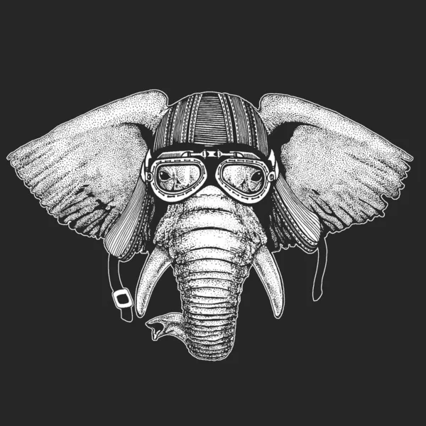 Elefantenkopf. Porträt eines wilden Tieres. — Stockvektor