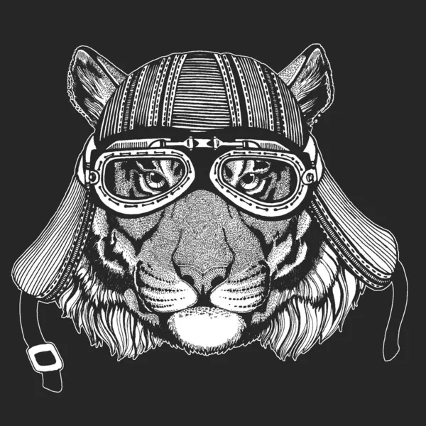 Tiger portrait. Wild cat head. — Stock Vector