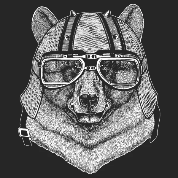 Urso selvagem. Capacete de couro de motocicleta vintage. Retrato de animal para emblema, logotipo, camiseta . —  Vetores de Stock
