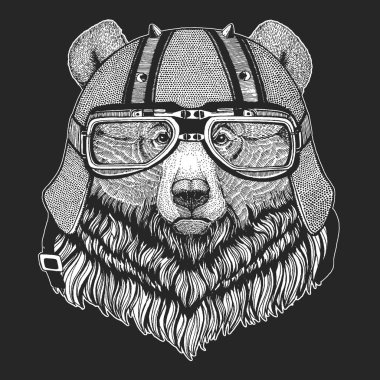 Boz ayı. Klasik motosiklet deri kaskı. Vahşi hayvan portresi.