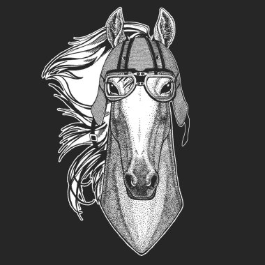 At, at, at. Klasik motosiklet deri kaskı. Vahşi hayvan portresi.