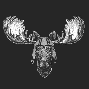 Geyik kafası. Klasik motosiklet deri kaskı. Komik bir hayvanın portresi.