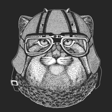 Pallas kedi kafası. Manul kafa. Klasik motosiklet deri kaskı. Vahşi kedi portresi.