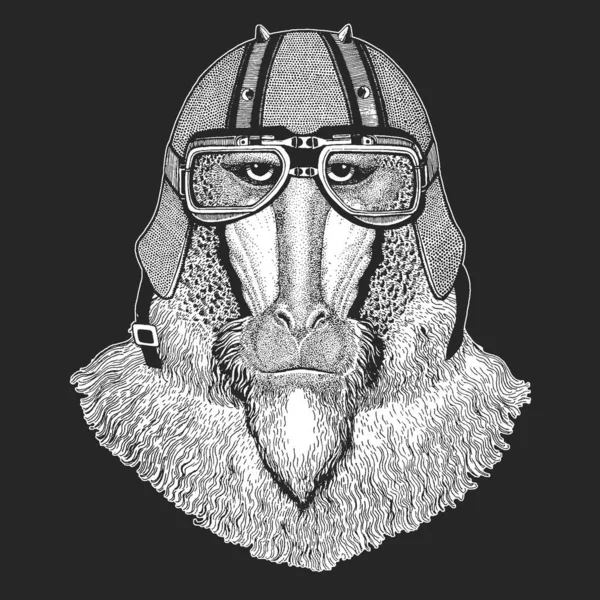 Babuino, mono, mono. Casco de moto de cuero vintage. Cabeza, retrato de animal . — Vector de stock