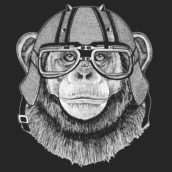 Chimpanzé, retrato. Capacete de couro de motocicleta vintage. Cara de macaco. Cabeça de macaco . —  Vetores de Stock