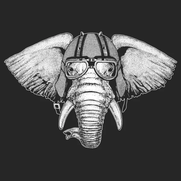 Cabeça de elefante. Capacete de couro de motocicleta vintage. Retrato de animal selvagem . —  Vetores de Stock