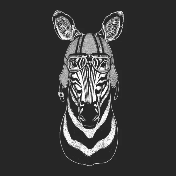 Retrato de zebra. Capacete de couro de motocicleta vintage. Cabeça de animal selvagem . —  Vetores de Stock