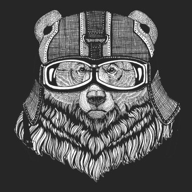 Boz ayı. Klasik motosiklet deri kaskı. Vahşi hayvan portresi.