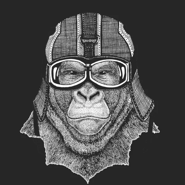 大猩猩，猴子，猿。老式摩托车皮革头盔. — 图库矢量图片