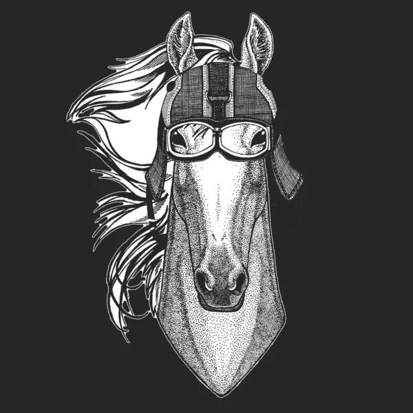 Horse, steed, courser. Vintage motorcycle leather helmet. Portrait of wild animal. — Stock Vector