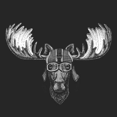 Geyik kafası. Klasik motosiklet deri kaskı. Komik bir hayvanın portresi.