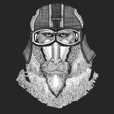 Maymun, maymun, maymun. Klasik motosiklet deri kaskı. Kafa, hayvan portresi.