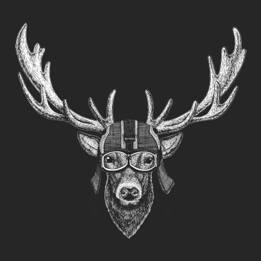 Geyik portresi. Klasik motosiklet deri kaskı. Vahşi hayvanların başı..