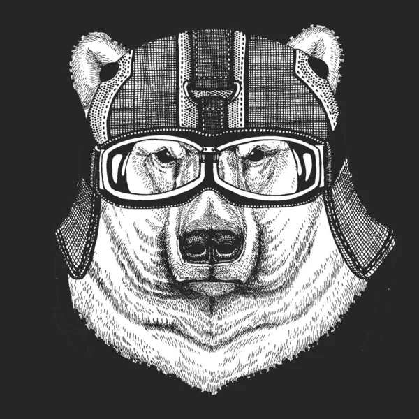 極熊の肖像画。ヴィンテージバイクレザーヘルメット。野生動物の頭 — ストックベクタ