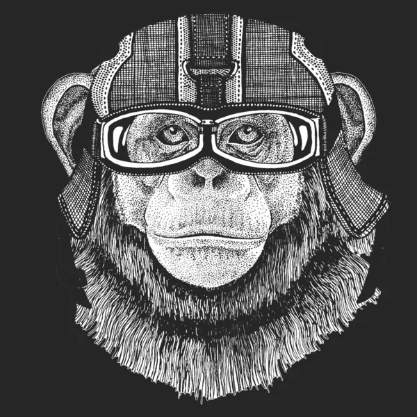 Chimpanzé, retrato. Capacete de couro de motocicleta vintage. Cara de macaco. Cabeça de macaco . —  Vetores de Stock