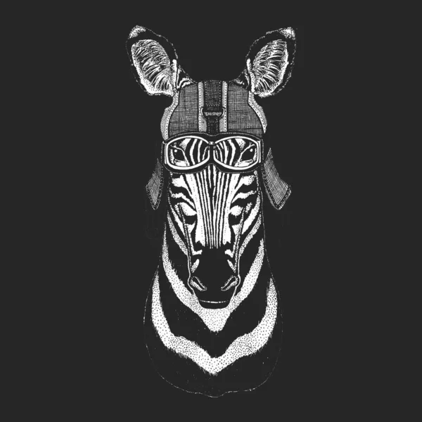 Retrato de zebra. Capacete de couro de motocicleta vintage. Cabeça de animal selvagem . —  Vetores de Stock