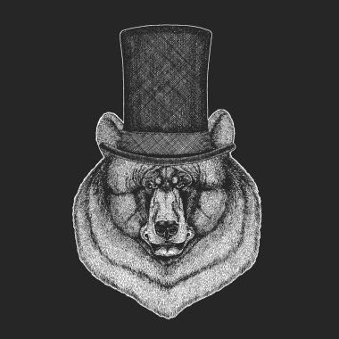 Vahşi ayı. Silindir şapka, silindir. Amblem, logo ve tişört için hayvan portresi..