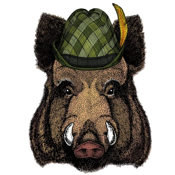 Portret van wild zwijn, zwijn, varken. Oostenrijkse bavariaanse tirol hoed. Bierfestival. Oktoberfest. — Stockfoto
