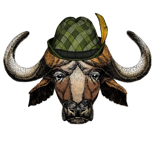 Portrait of buffalo, bison, bull, cow. Austrian bavarian tirol hat. Beer festival. Oktoberfest. — Stock Photo, Image