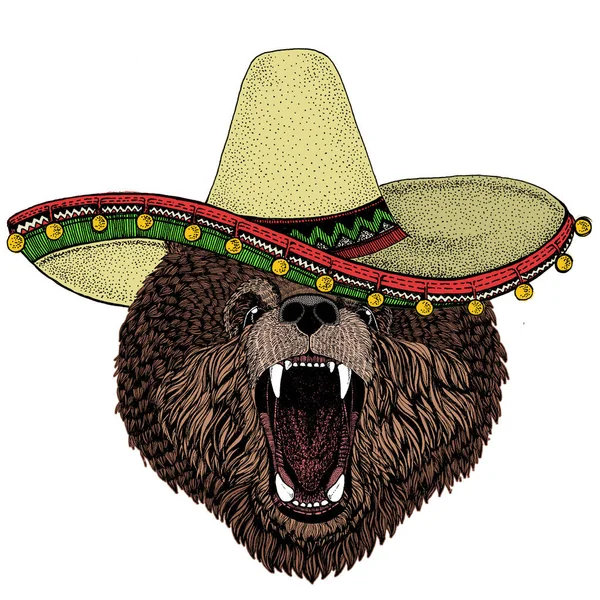 Άγριο αρκουδάκι. Μεξικάνικο καπέλο Σομπρέρο. Προσωπογραφία ζώου για έμβλημα, λογότυπο, μπλουζάκι. — Φωτογραφία Αρχείου