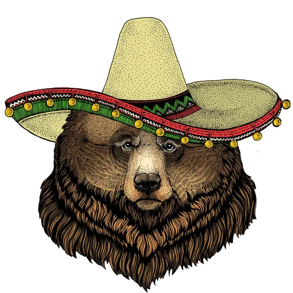 Urso Grizzly. Chapéu mexicano sombrero. Retrato de animal selvagem . — Fotografia de Stock