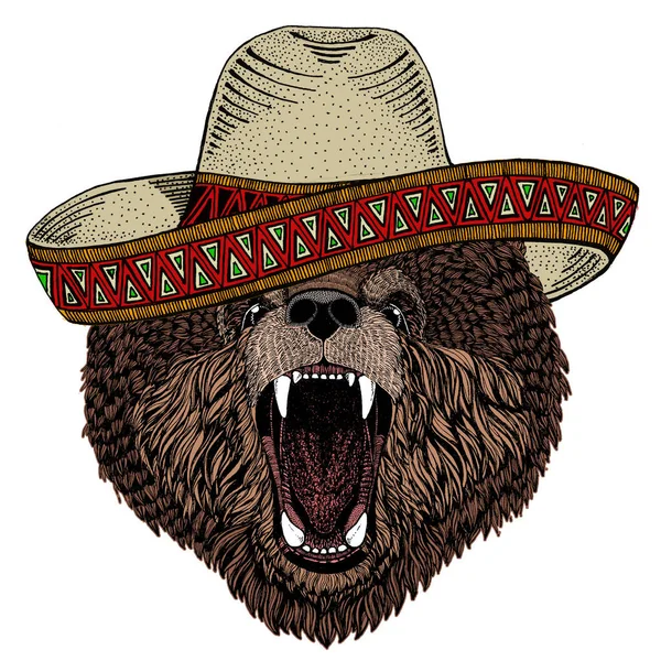 Urso selvagem. Chapéu mexicano sombrero. Retrato de animal para emblema, logotipo, camiseta . — Fotografia de Stock
