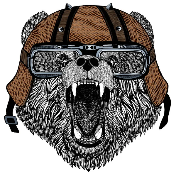 Oso salvaje. Retrato de animal para emblema, logo, camiseta. Casco de moto. —  Fotos de Stock