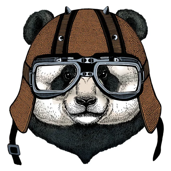 Grande panda, retrato de urso de bambu. Cara de animal bonito. Cabeça de urso. Capacete de motocicleta . — Fotografia de Stock