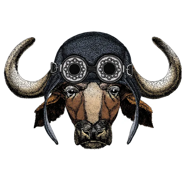 Portrait de buffle, bison, taureau, vache. Visage d'animal. Aviator casque en cuir volant avec googles . — Image vectorielle