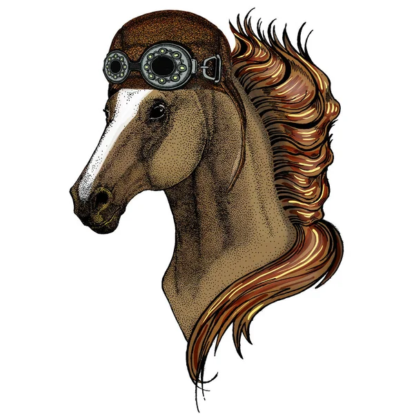 Kůň, oř, kurýr. Portrét divokého zvířete. Letecká létající kožená helma s brýlemi. — Stockový vektor