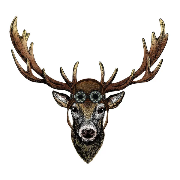 Deer portrait. Head of wild animal. Aviator flying leather helmet with googles. — Stock Vector