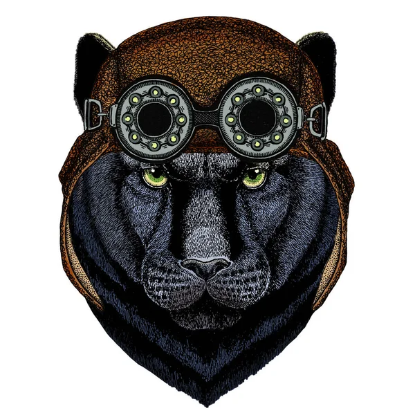 Black panther, puma. Head of animal. Wild cat portrait. Aviator flying leather helmet with googles. — Stock Vector