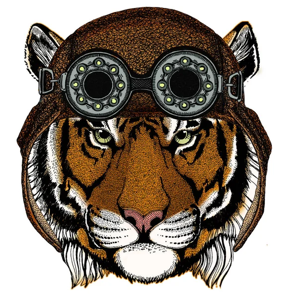 Ritratto di tigre. Testa di gatto selvatico. Aviator casco in pelle volante con googles . — Vettoriale Stock
