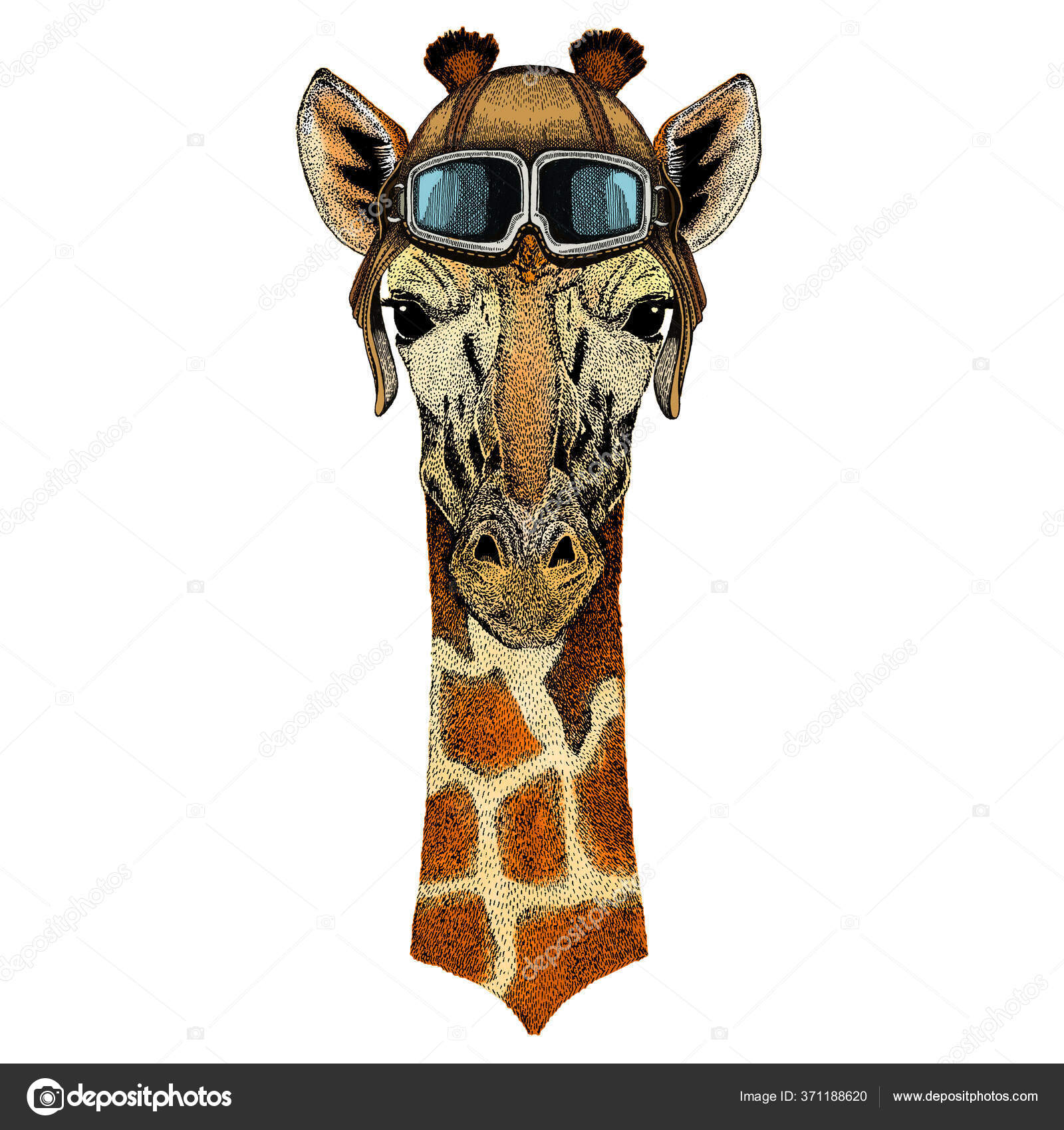 Cabeça de girafa. Retrato de animal selvagem. Capacete aviador vintage com  óculos . Vetor de ©Helen_F 371188620, image size:1600x1700