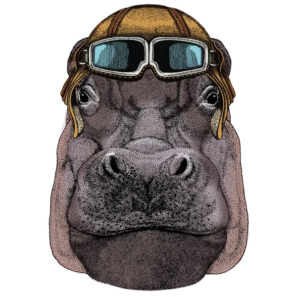 Retrato de hipopótamo, hipopótamo. Animal africano selvagem. Capacete aviador vintage com óculos . —  Vetores de Stock